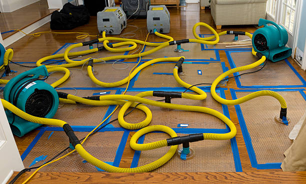 Professional Water Damage Restoration technician working in Cupertino, CA